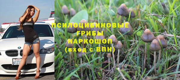 кристаллы Алексин