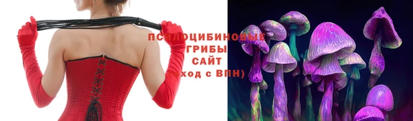 ГАЛЛЮЦИНОГЕННЫЕ ГРИБЫ Алзамай