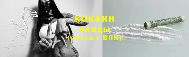 ГАЛЛЮЦИНОГЕННЫЕ ГРИБЫ Алзамай
