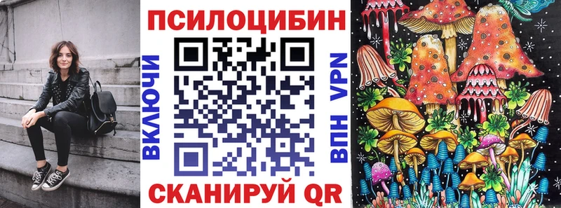 Галлюциногенные грибы мицелий  купить закладку  Завитинск 